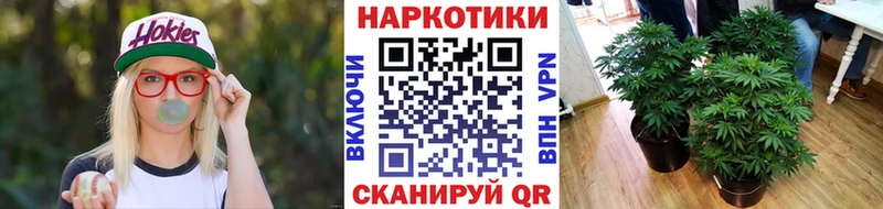 Где купить наркотики Олёкминск Псилоцибиновые грибы Cocaine Гашиш Конопля