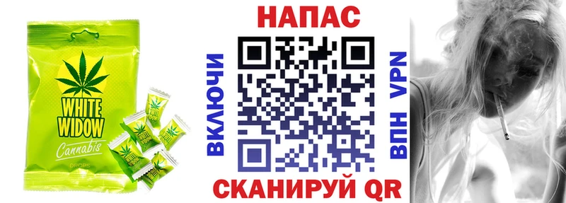 где можно купить наркотик  Олёкминск  OMG как войти  Canna-Cookies конопля 