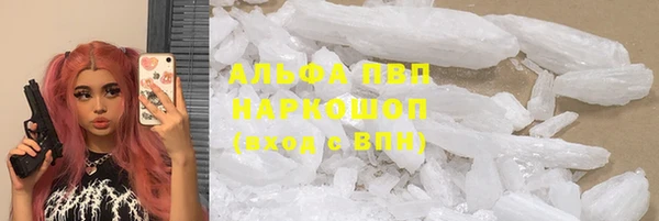 эйфоретик Белокуриха