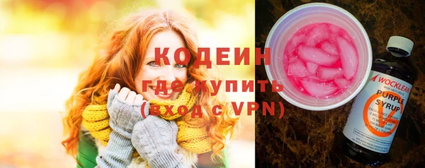 мдпв Елабуга